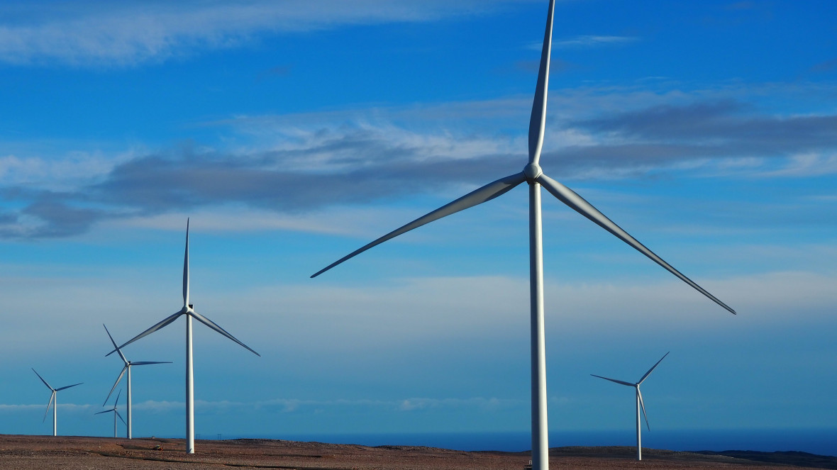 A wind farm in the Far North